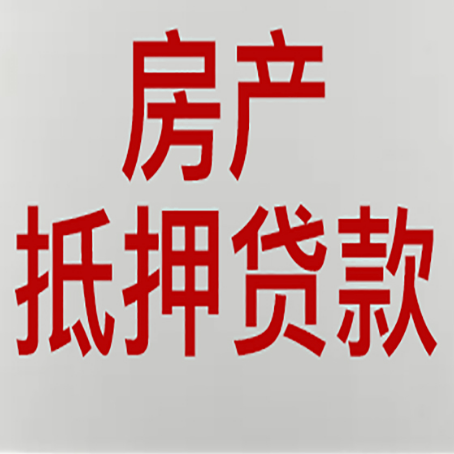 金东贷款公司新渝启服推荐选择